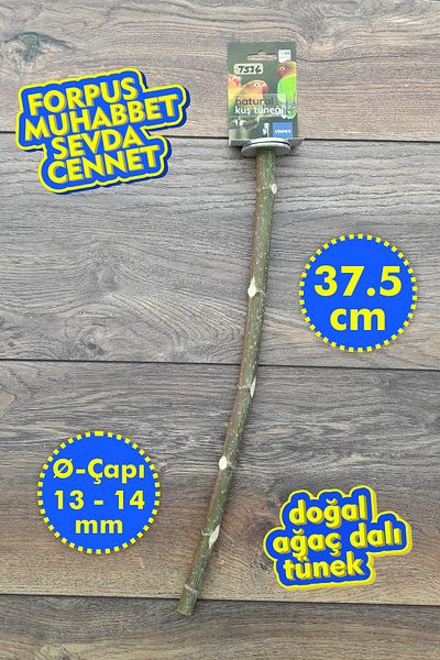 Vixpet Venty 37.5 cm Natural Parrot Tunic |   Branch Trench |   Budgie, Forpus, Sevda, Paradise, Kakariki - T534