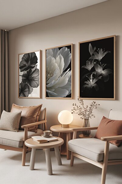 Postifull Drveni set za slikanje, 3 komada drvenog okvira za poster, mekani c...