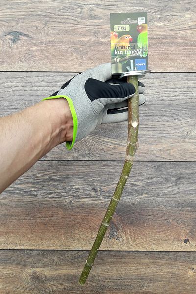 Vixpet Venty 35.5 cm Natural Parrot Leg |   Branch Trench |   Budgie, Sevda, Forpus, Paradise - T131