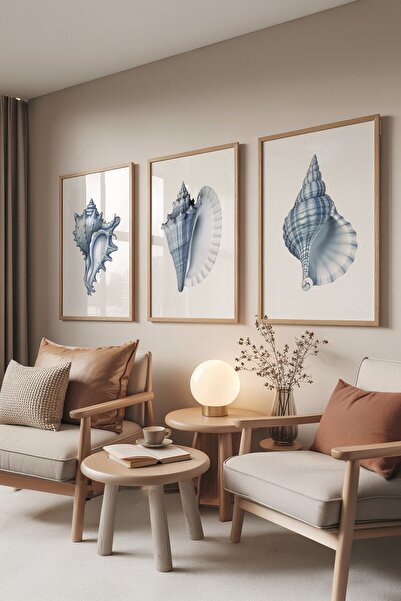 Postifull Ahşap Tablo Seti, 3 Adet Ahşap Çerçeveli Poster seashells Model No:...