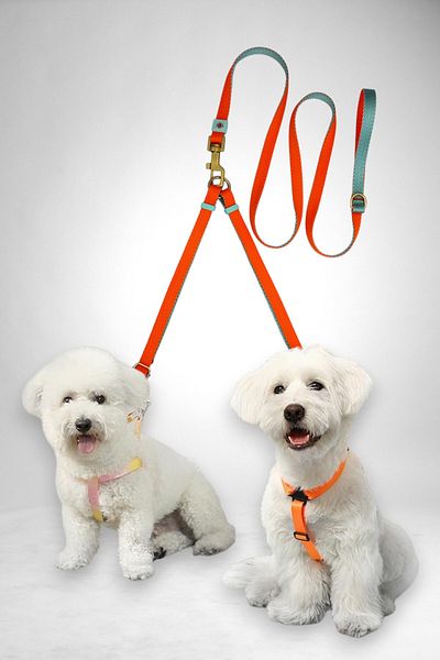 CARAMELOS Double Dog Walking Leash and Delivery Strap Set Adjustable