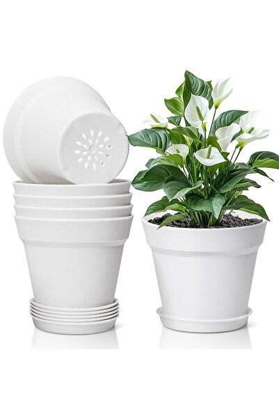 HaşereMarket çiçek saksısı