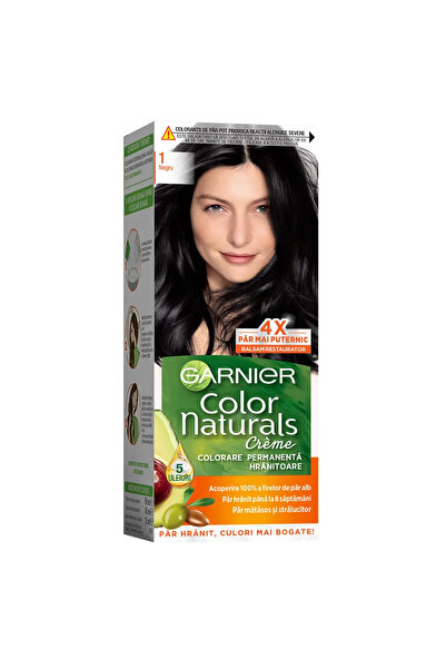 Garnier Vopsea de par Color Naturals 1 Negru