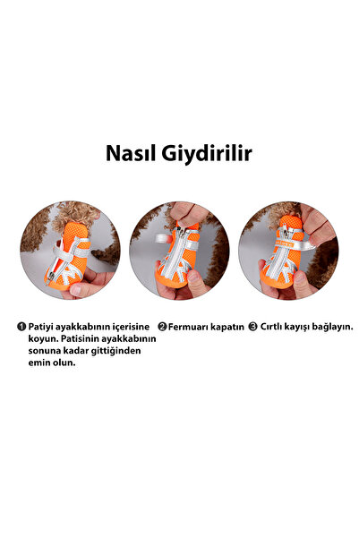 True Love Fermuarlı, Siyah Köpek Ayakkabısı