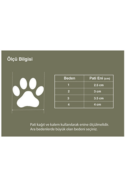 True Love Fermuarlı, Siyah Köpek Ayakkabısı