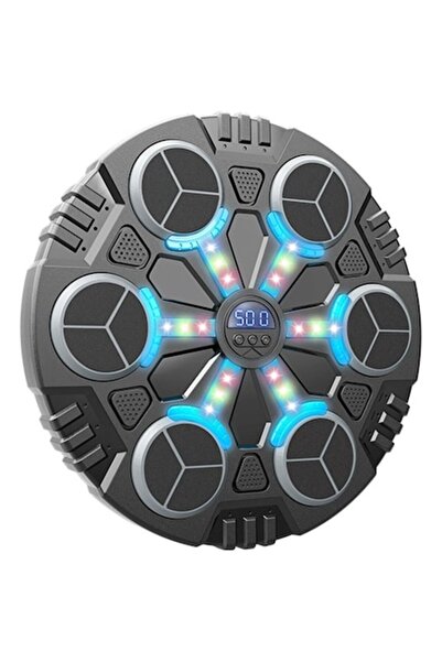 DAMUR Jucărie de box cu muzică și lumini, mănuși incluse, Bluetooth, încărcar...