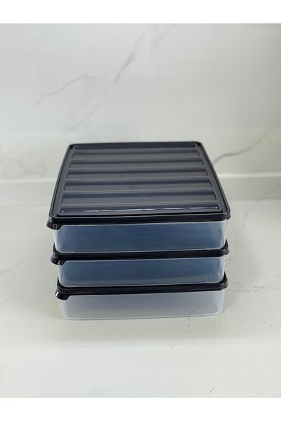Albergio 3-Piece 28X22 Plastic Storage Container with Lid – Microwave and Deep Freezer Compatible, Refrigerator Organizer