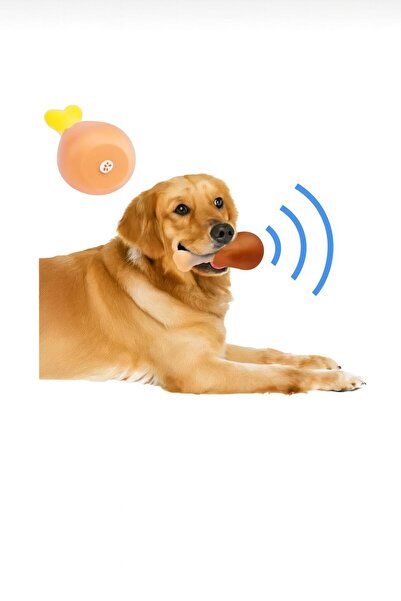 Genel Markalar Sesli Kedi Köpek Tavuk But Oyuncağı | Öten ve Squeak Sesli Köpek Oyuncağı