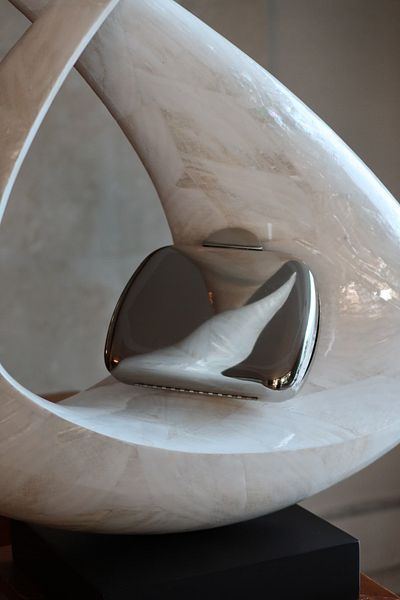 Moom Bag Geantă de umăr cu lanț plat din metal argintiu pentru femei