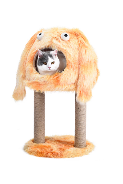 Pet Luxe 4 في 1 شجرة خدش للقطط وسرير مع شكل وحش