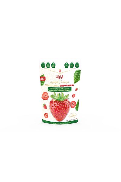 TURK GARDEN Pineapple, Mango, Raspberry, Banana, Whole Strawberry Freeze Dried 5-Piece Snack