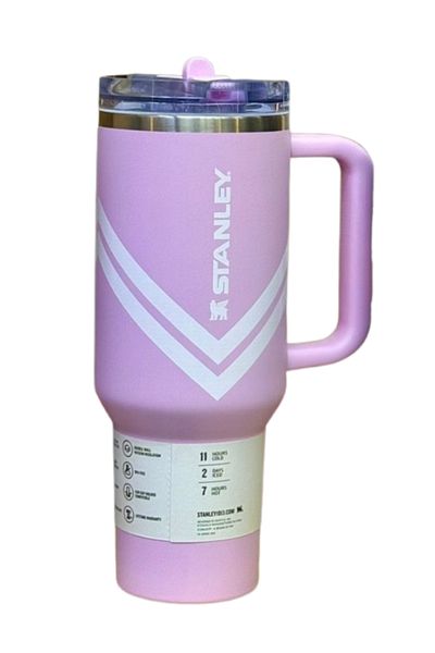 Stanley NWT 40oz Pink Chevron Quencher ProTour Flip Straw Tumbler DSG EXCLUSIVE