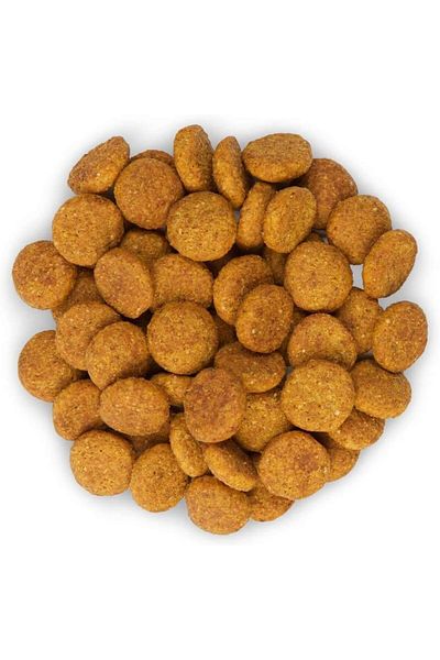 Hill's Science Plan Adult Perfect Weight Large Breed Dog Food with Chicken - 12KG