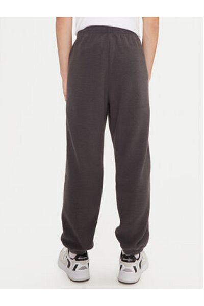 Champion Pantaloni de trening pentru bărbați 220419 gri