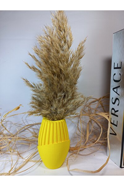 emilysamy Nordic Pampas Vase Random