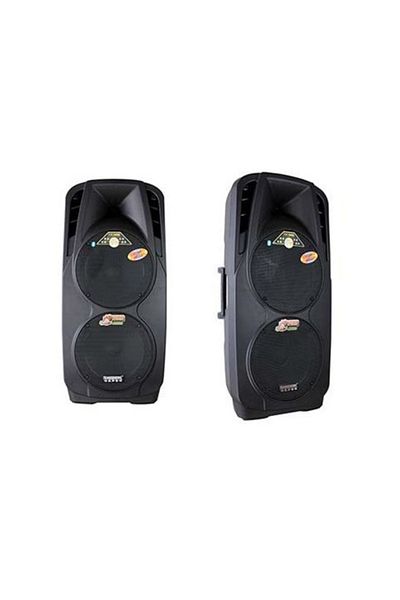 Ailiang Professional Speaker with Troller Station, 2 12 Inch Speakers,