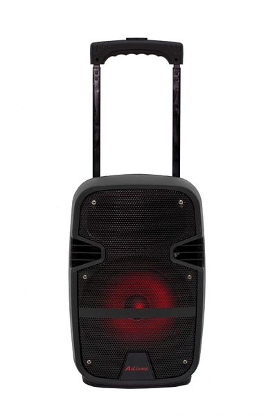 Ailiang Professional Active Speaker, 120 W Power, Usb Port, Sd Card, Microphone and Remote Control