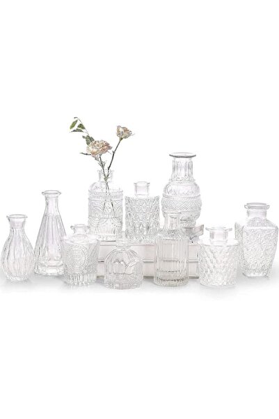 Generic مجموعة من 10 مزهريات زجاجية للبراعم - مزهريات صغيرة للزهور، مزهريات ش...