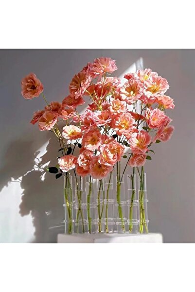 Generic gugululu Hinged Flower Vase 8 Crystal Glass Test Tube Desktop Propaga...