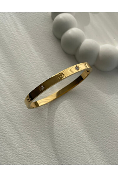 Ervalina Zirkon Taşlı CRTR Çelik Kelepçe Bileklik