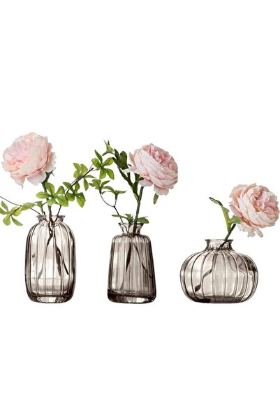 Generic مجموعة مزهريات زجاجية صغيرة من نيدين مكونة من 3 قطع للزهور، مزهرية بر...