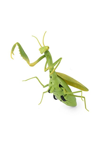 THK Jucărie interactivă, Lăcustă cu telecomandă, culoare verde/galben, lungim...