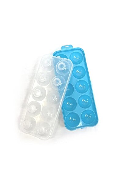 Generic Bisbell Egg Storage Container, 10-Grid Egg Holder with Lid, Clear and Blue Plastic Refrigerator Org