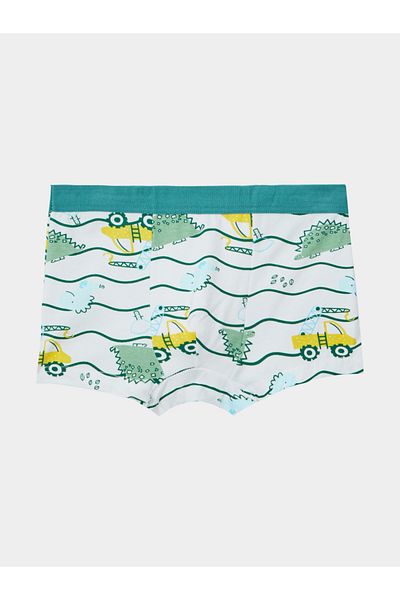 Styli Pack of 4 - Printed Trunks