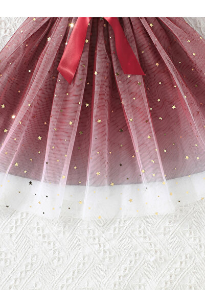 Styli Burgundy Bow Detail Embellished Mesh Dress