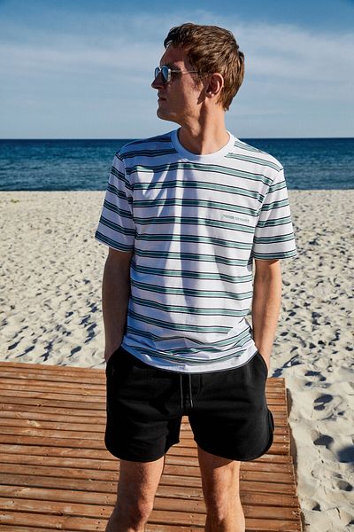 GRIMELANGE Woody Men's 100% Cotton Embroidery Detail Crew Neck Striped Regular Fit White-Green Striped T-Shirt