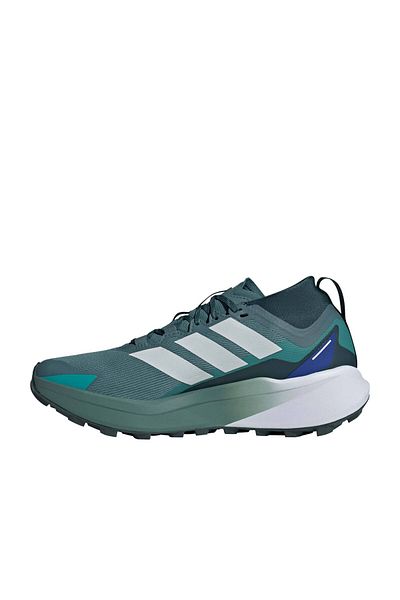 adidas Terrex Agravic Gore-Tex Men's Green Outdoor Shoes (Jr5351)