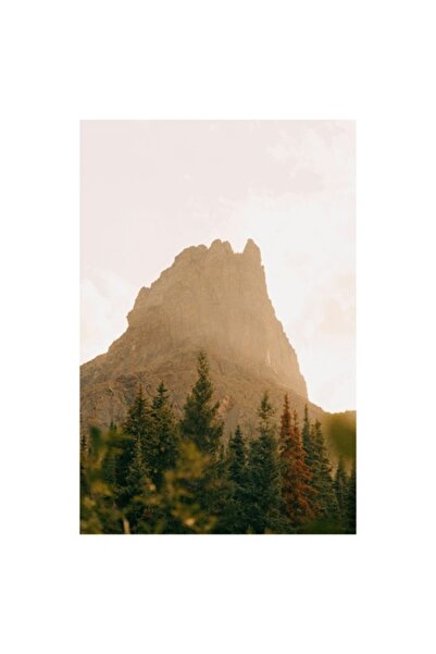 OEM Tablou Canvas, "Muntele la apus de soare", Munte, Conifere, Cer, Rasarit, Natura, Padure, Peisaj, 26