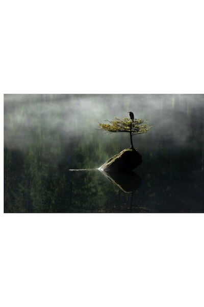 OEM Pictură pe pânză, „Pasărea solitară de pe insula verde”, Mister, Singurăt...