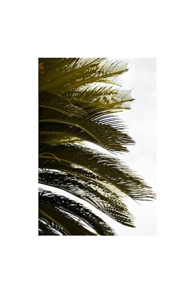 OEM Pictură pe pânză, „Frunze de palmier într-o briză blândă”, 50 x 90 cm