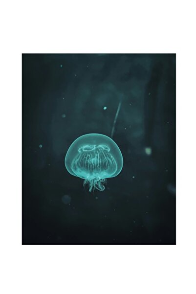 OEM Pictură pe pânză, „Meduze plutind în oceanul întunecat”