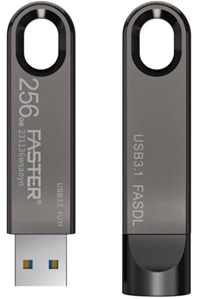 Faster محرك أقراص فلاش USB 3.1 سعة 256 جيجابايت - محرك أقراص USB فائق السرعة من الجيل الأول بهيكل معدني - محرك أقراص سريع للغاية
