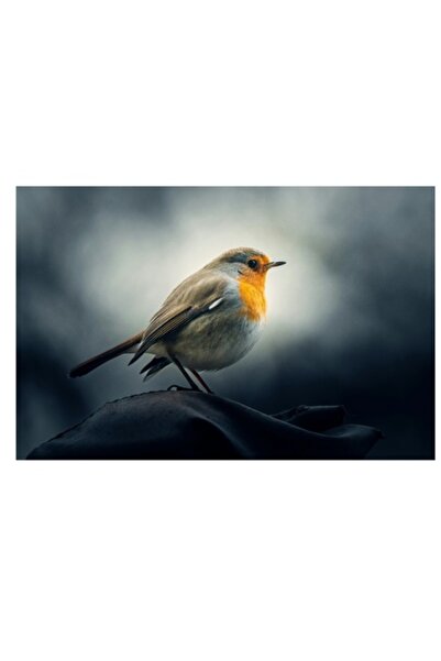 OEM Tablou Canvas, „Sufletul pădurii în zori cenușii”, Pasăre, Creangă, Culoa...