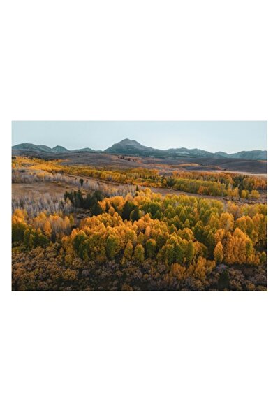 OEM Pictură pe pânză, „Pădure de toamnă sub cer senin”, Apus de soare, Toamnă, Pădure, Munte, Peisaj, Armonie