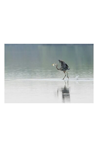 OEM Pictură pe pânză, „Storm de stârci cu pradă”, Pasăre, Vultur, Reflecție, ...