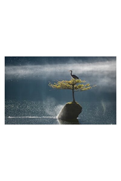 OEM Pictură pe pânză, „Egretă solitară pe o insulă plutitoare”, Pasăre, Copac, Râu, Lumină, Ceață, 50 x 50cm