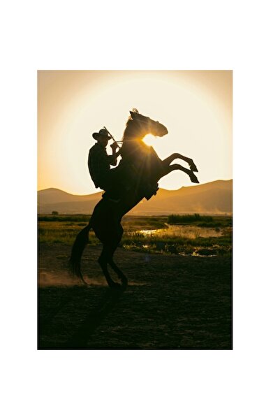 OEM Tablou Canvas, 'Calaretul si soarele in amurg', Umbra, Calaret, Cal, Apus, Silueta, Munti, Natura, P