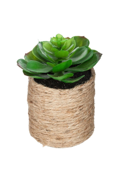 Atmosphera Easy Maintenance Realistic Looking Decorative Artificial Plant wit...