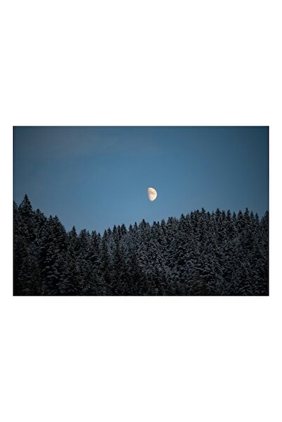 OEM Tablou Canvas, 'Luna deasupra padurii ninse', Luna, Cer, Brazi, Noapte, L...