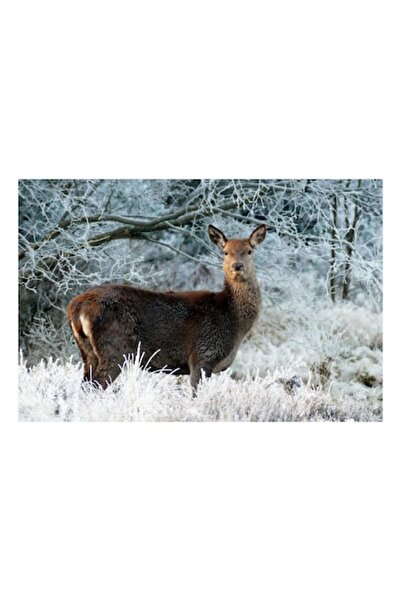 OEM Pictură pe pânză „Cerb într-un peisaj de iarnă înghețat”, 100 x 70 cm