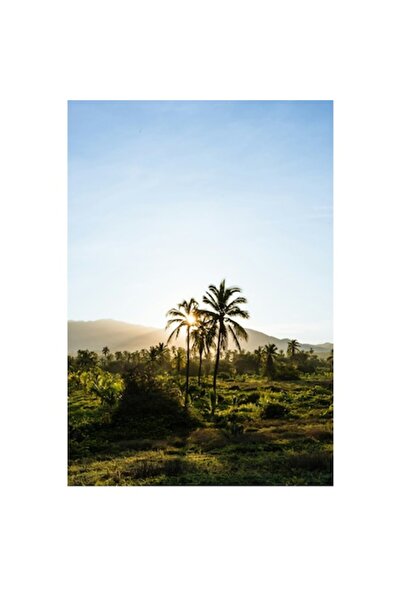 OEM Pictură pe pânză, „Răsărit de soare în paradisul tropical”