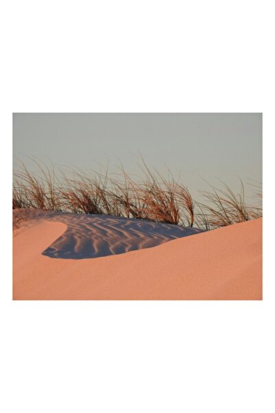 OEM Tablou Canvas, 'Umbrele serii pe dunele aurii', Nisip, Dune, Iarba, Apus, Umbre, Textura, Calm, Sere