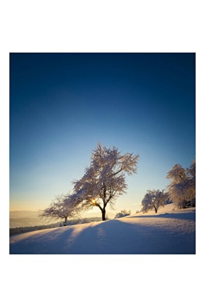 OEM Pictură pe pânză, „Copaci de iarnă sub cer senin”, Zăpadă, Apus de soare,...