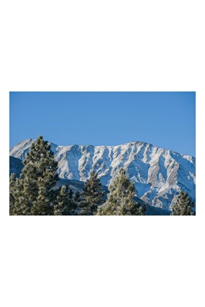 OEM Pictură pe pânză, „Munți înzăpeziți sub cer senin”, Pini, Munte, Zăpadă, Cer, Albastru, 150 x 100cm