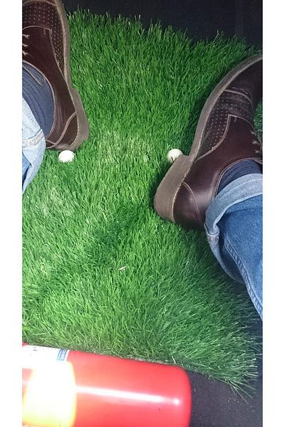 Generic Interior Artificial Grass, ZV Mix Brand, Green (1X1 Meter)