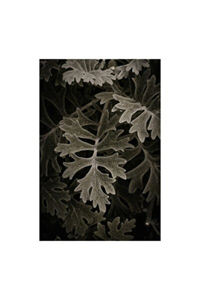 OEM Pictură pe pânză, „Frunze de stejar într-o umbră misterioasă”, 50 x 70 cm